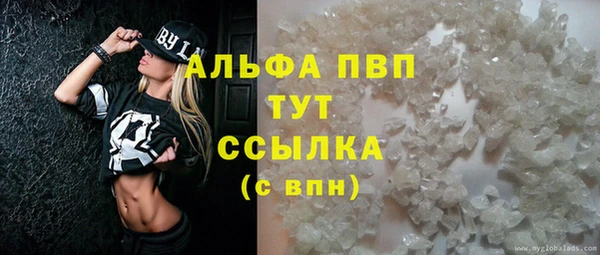 гидра Аркадак