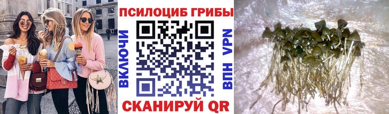 Галлюциногенные грибы GOLDEN TEACHER Ельня